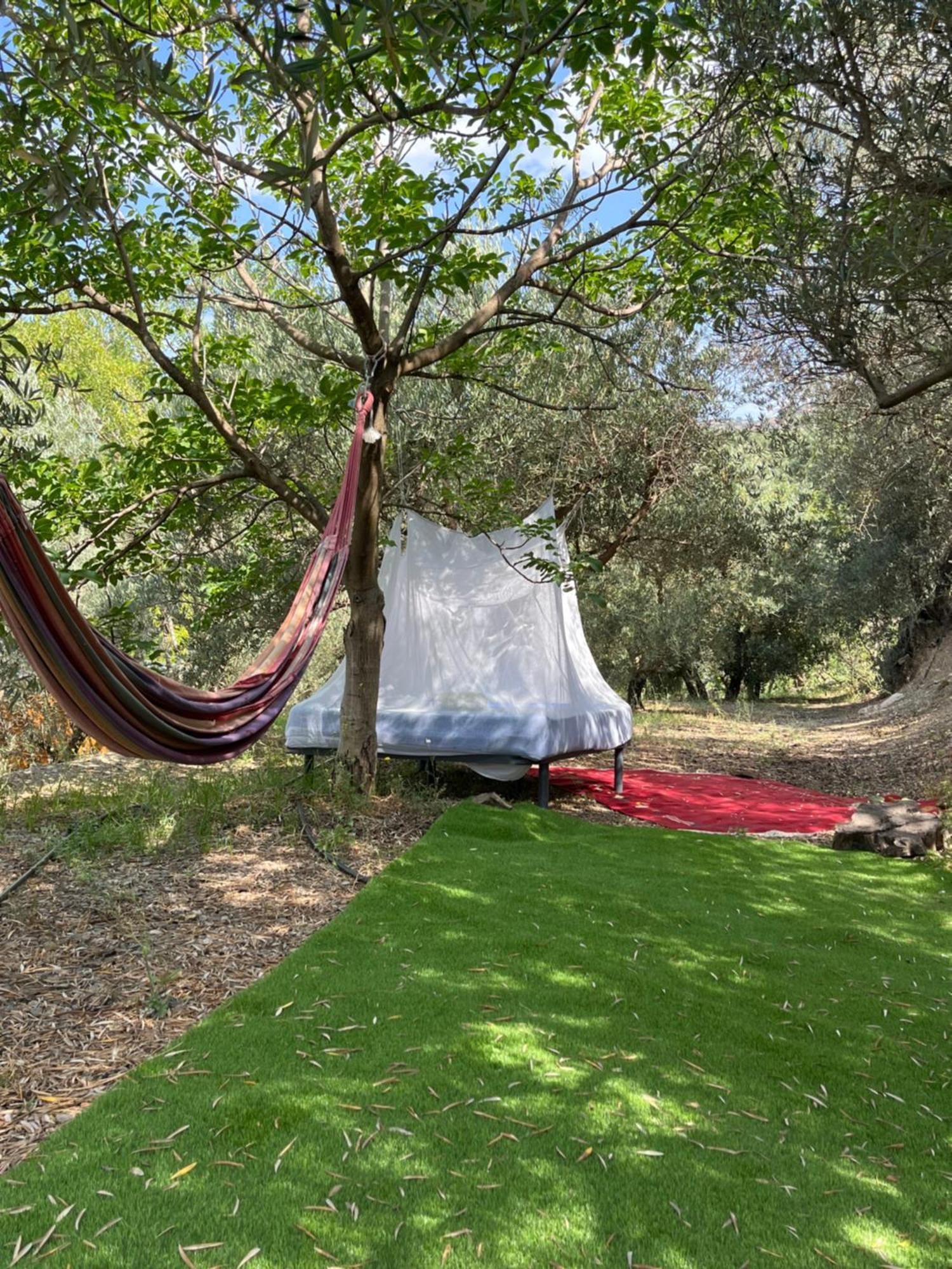 Cortijo Alhijra Big Yourte ลันจารอน ภายนอก รูปภาพ