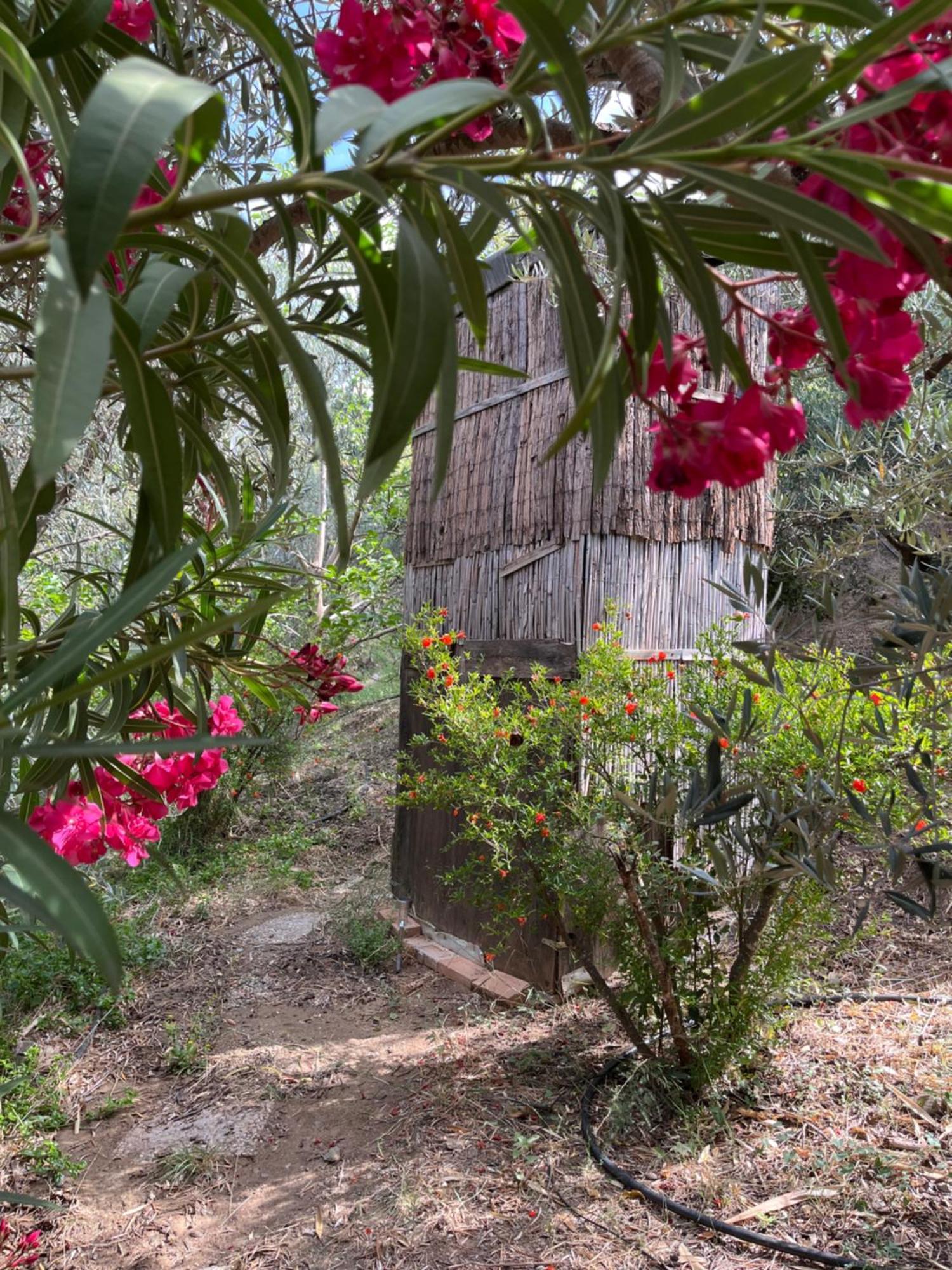 Cortijo Alhijra Big Yourte ลันจารอน ภายนอก รูปภาพ